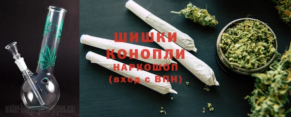 ГАЛЛЮЦИНОГЕННЫЕ ГРИБЫ Армянск