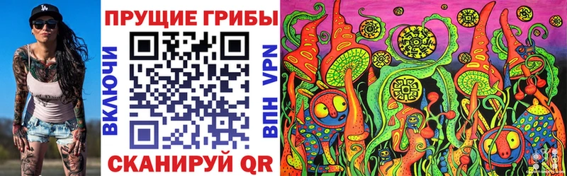 блэк спрут сайт  Аша  Псилоцибиновые грибы MAGIC MUSHROOMS 